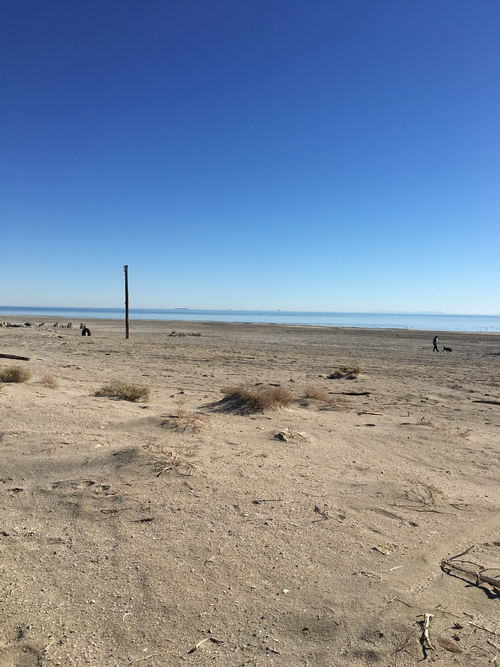 Salton Sea Area - 2015-2020 Photos (newer photo)